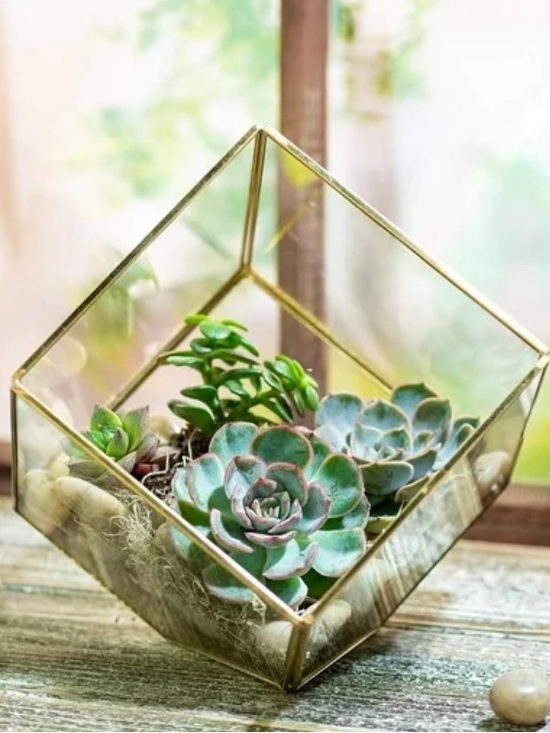 Other - Geometric Glass Terrarium, Gold Cube Planter